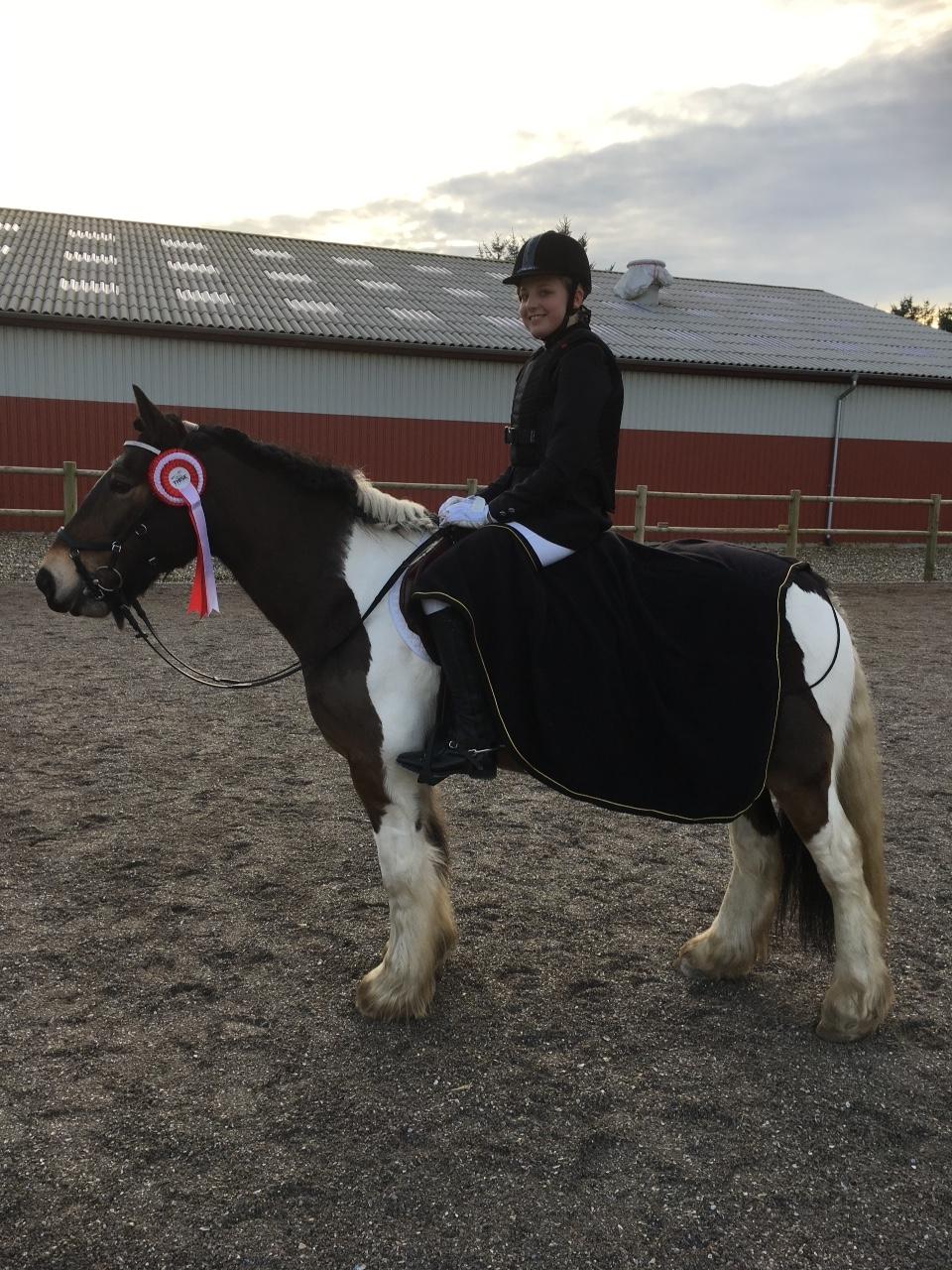 Tinker Bonni billede 3