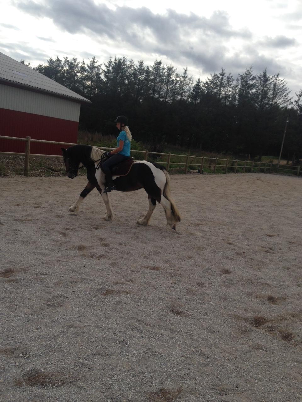 Tinker Bonni billede 2