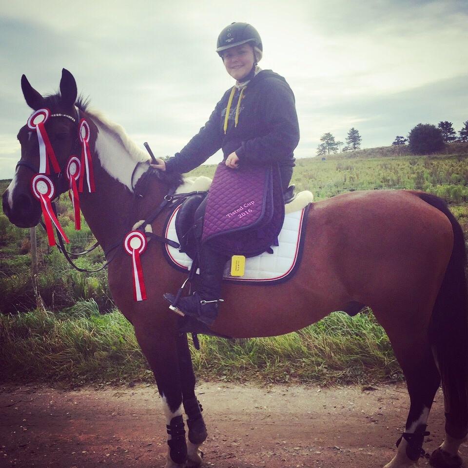 Pinto Thiamo billede 17