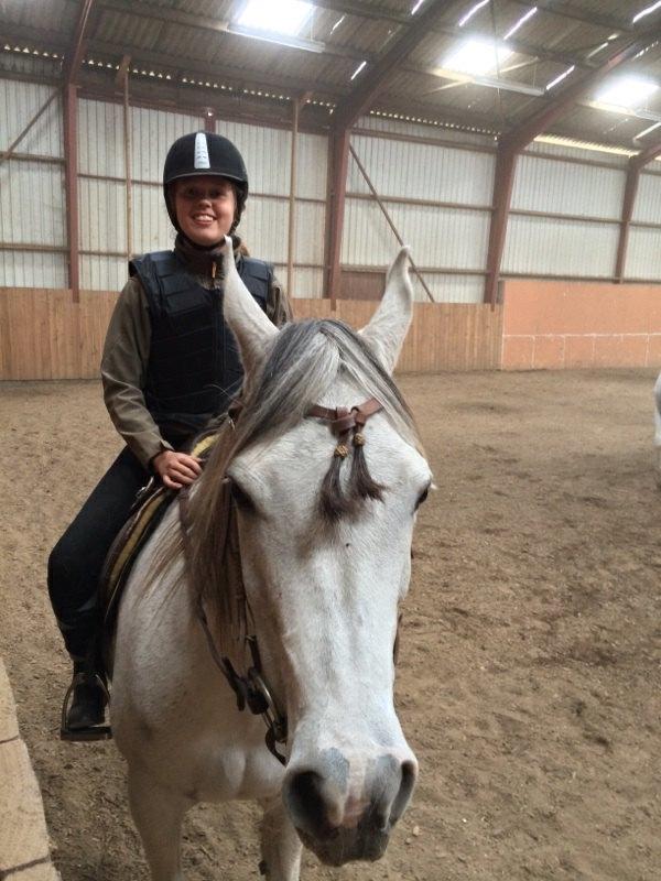 Arabisk fuldblod (OX) Zadalina billede 9