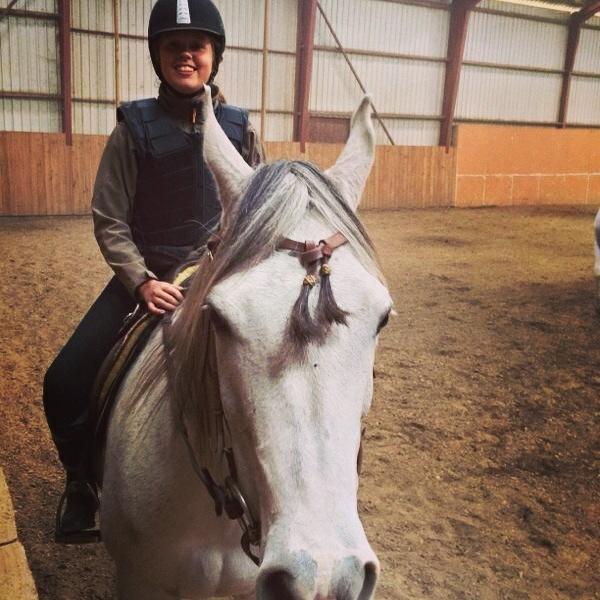 Arabisk fuldblod (OX) Zadalina billede 12