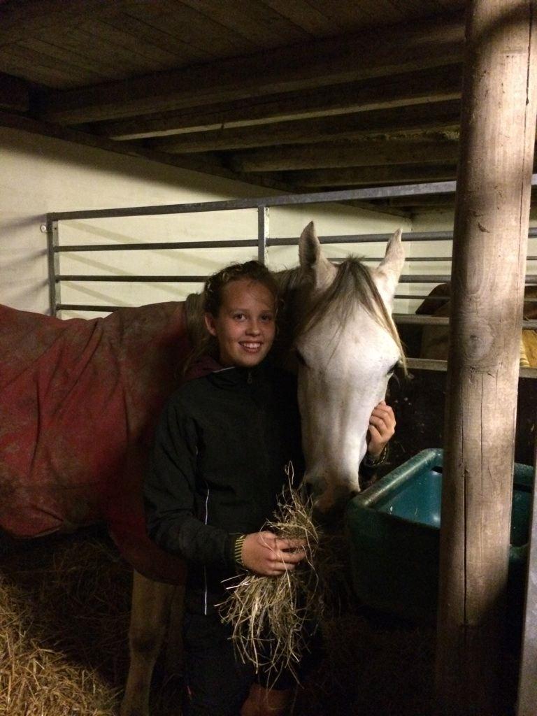 Arabisk fuldblod (OX) Zadalina billede 13