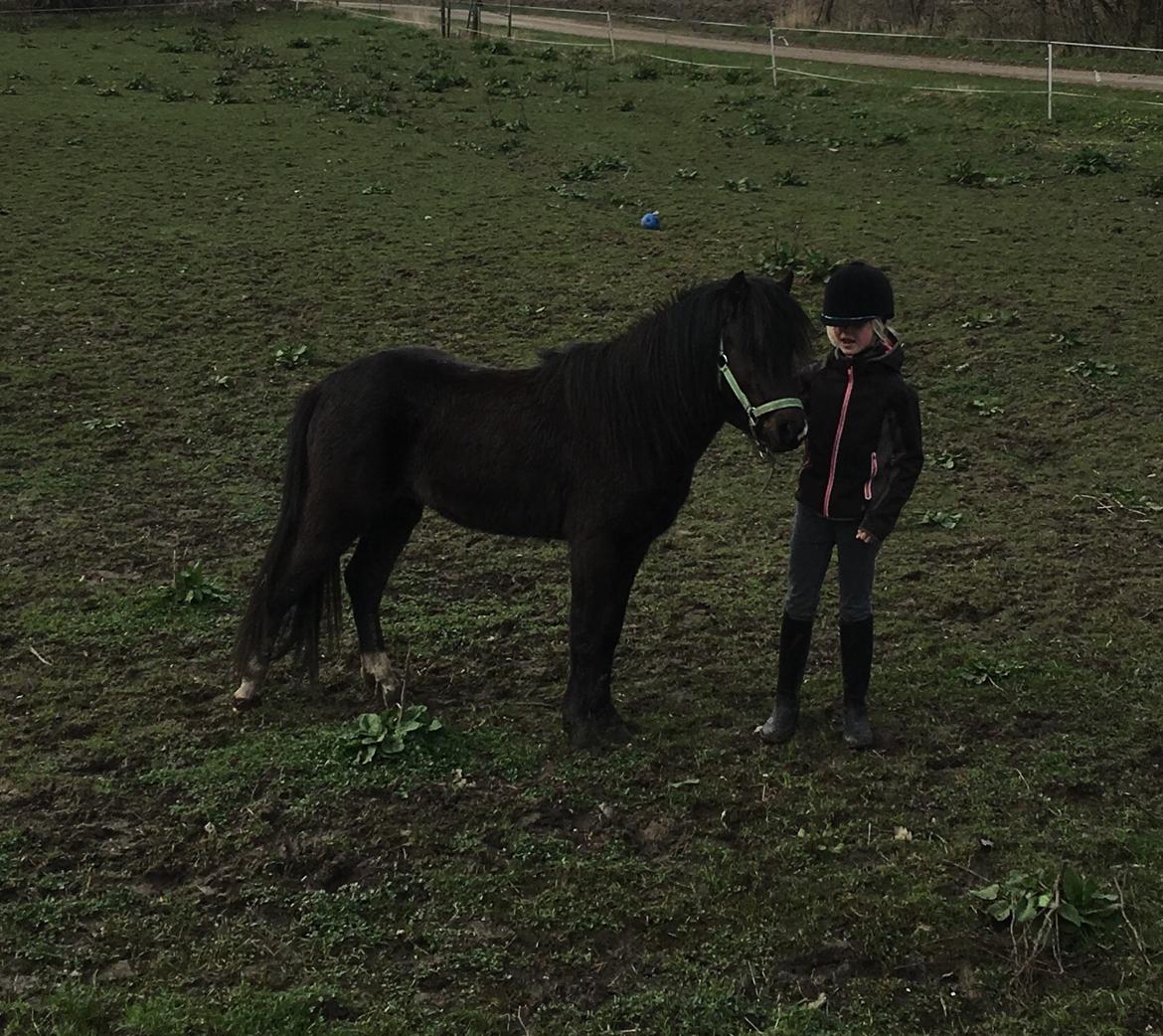 Anden særlig race Justin billede 1