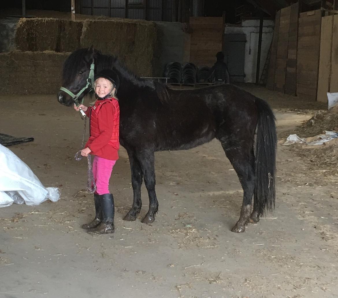 Anden særlig race Justin billede 3