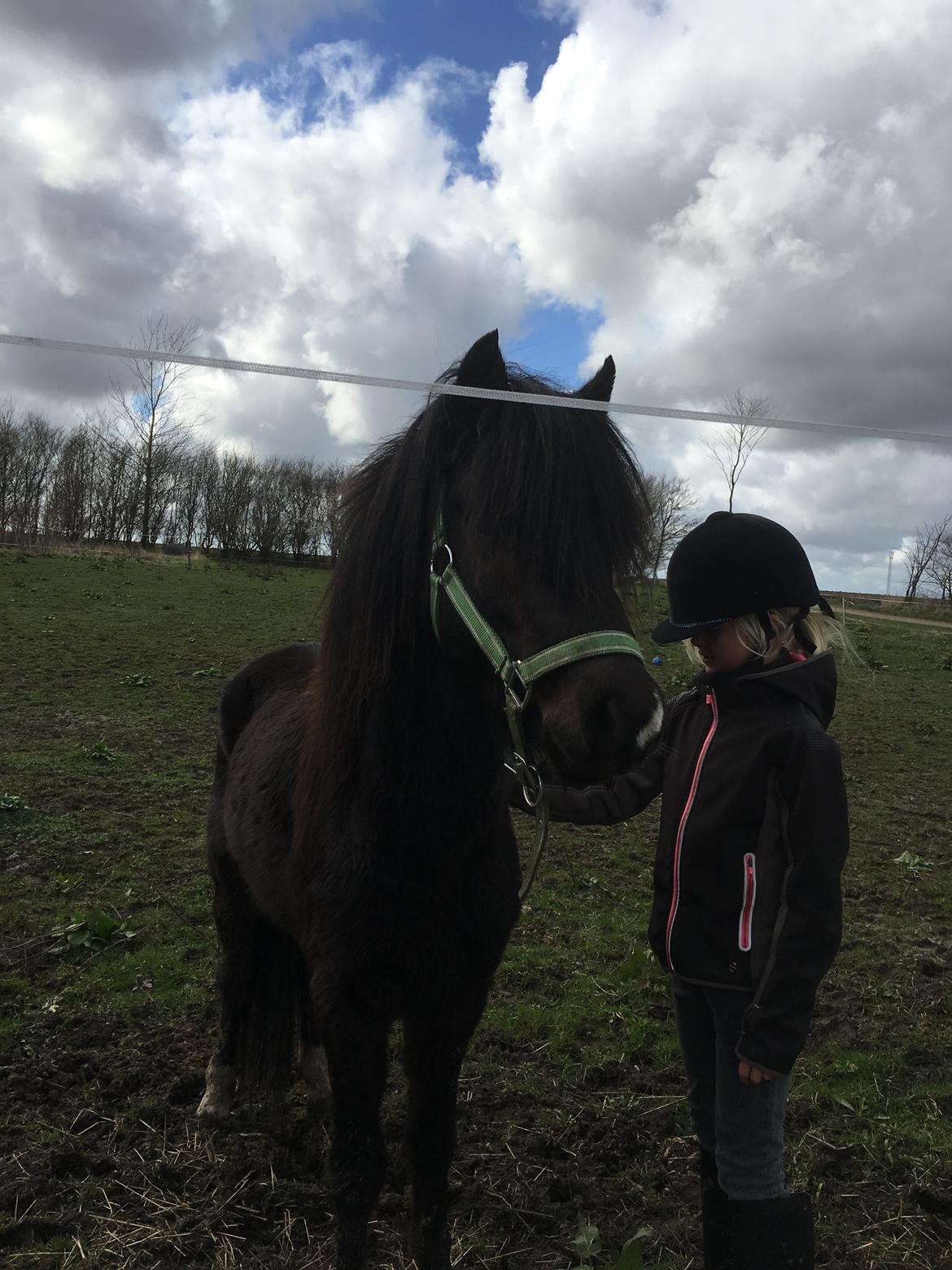 Anden særlig race Justin billede 2