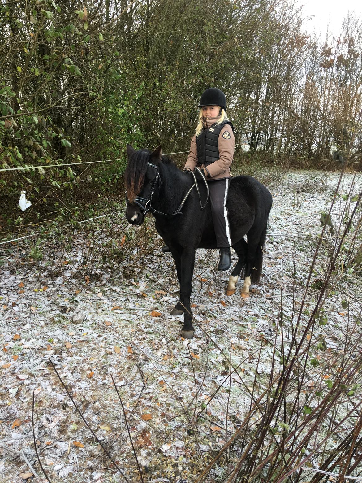 Anden særlig race Justin billede 9