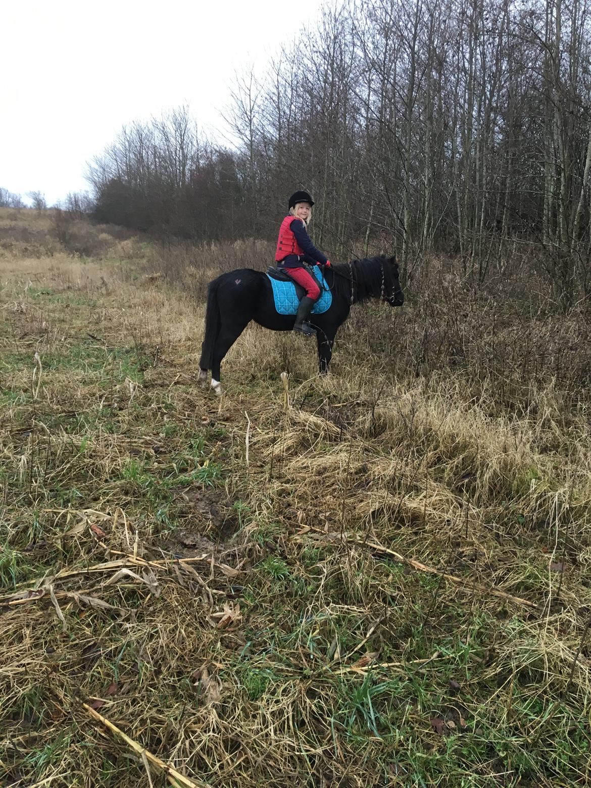 Anden særlig race Justin billede 10