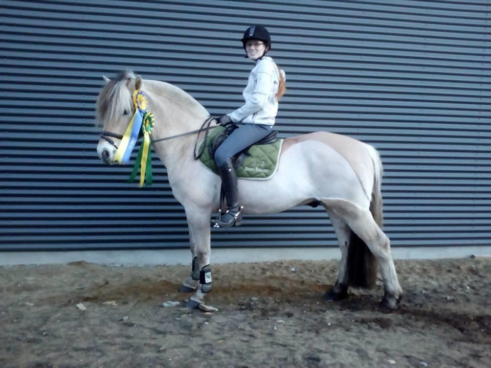 Fjordhest Sylvfin Skovå - 2. plads FJ-tour junior og 3. plads DRF Ranglisten Senior 2016 billede 8