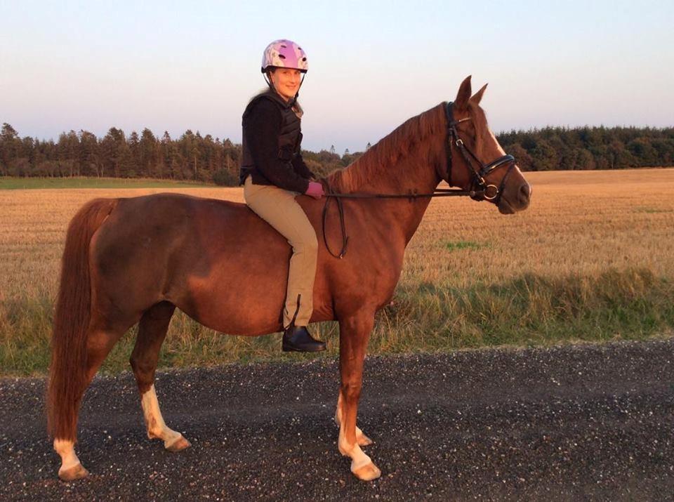 DSP Amalie billede 15