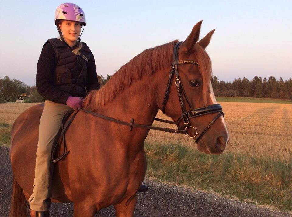 DSP Amalie billede 5