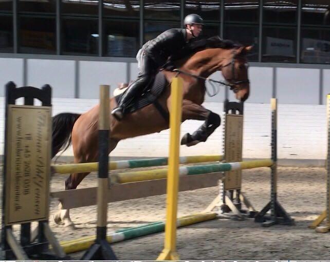 Anden særlig race Walkin´A billede 1