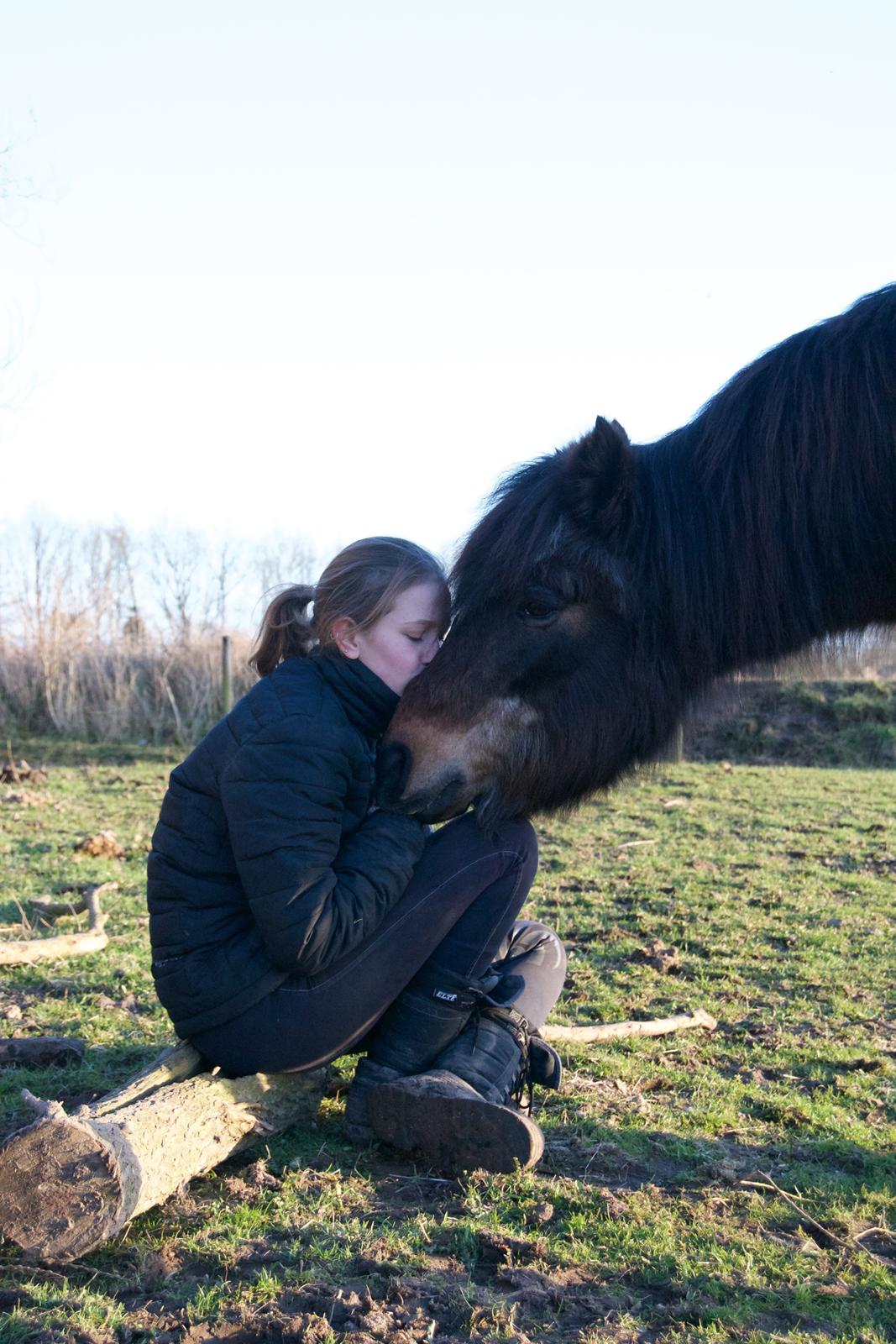 Anden særlig race Cavan - Dagen inden hans aflivning <3 billede 1