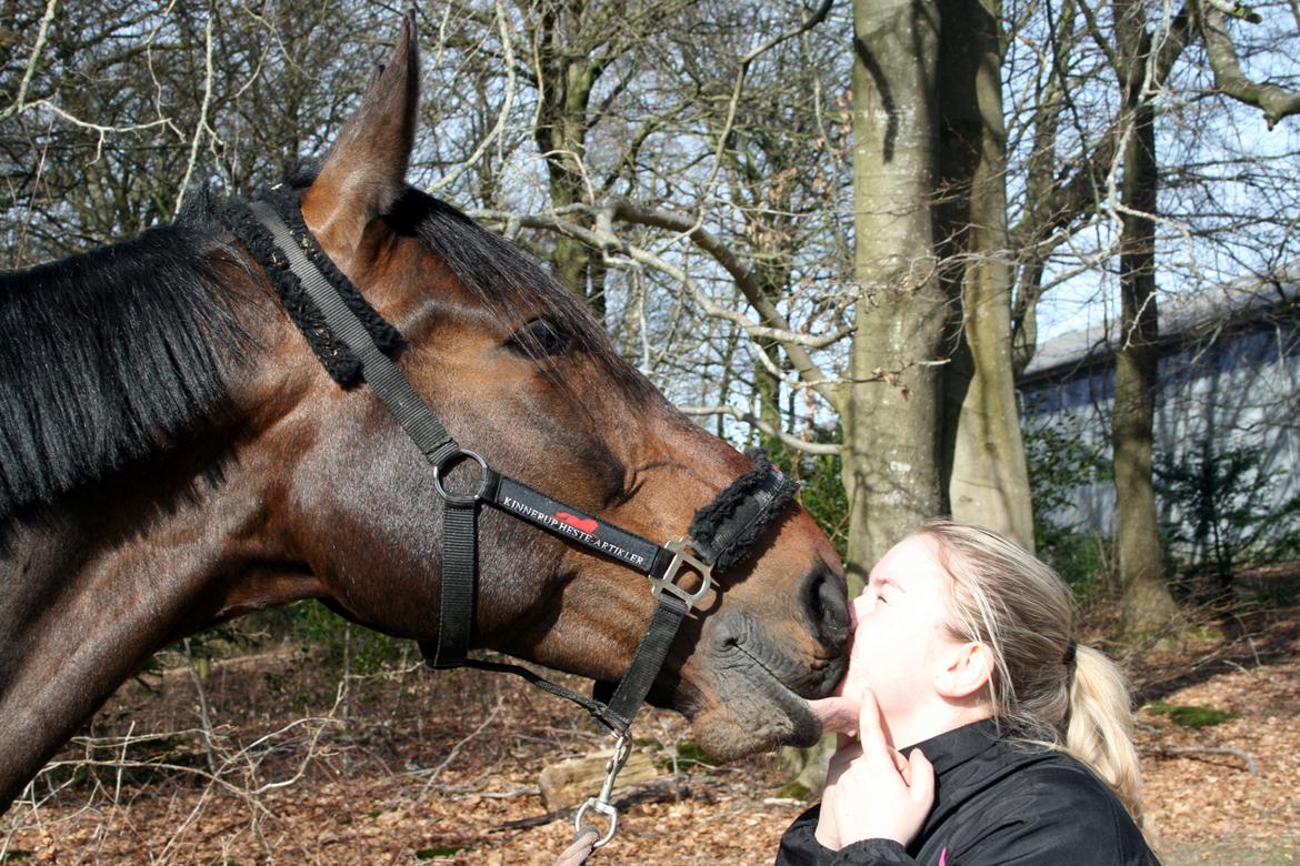 Oldenborg Cornett  - Ordenlig smæk kys :-P  billede 39