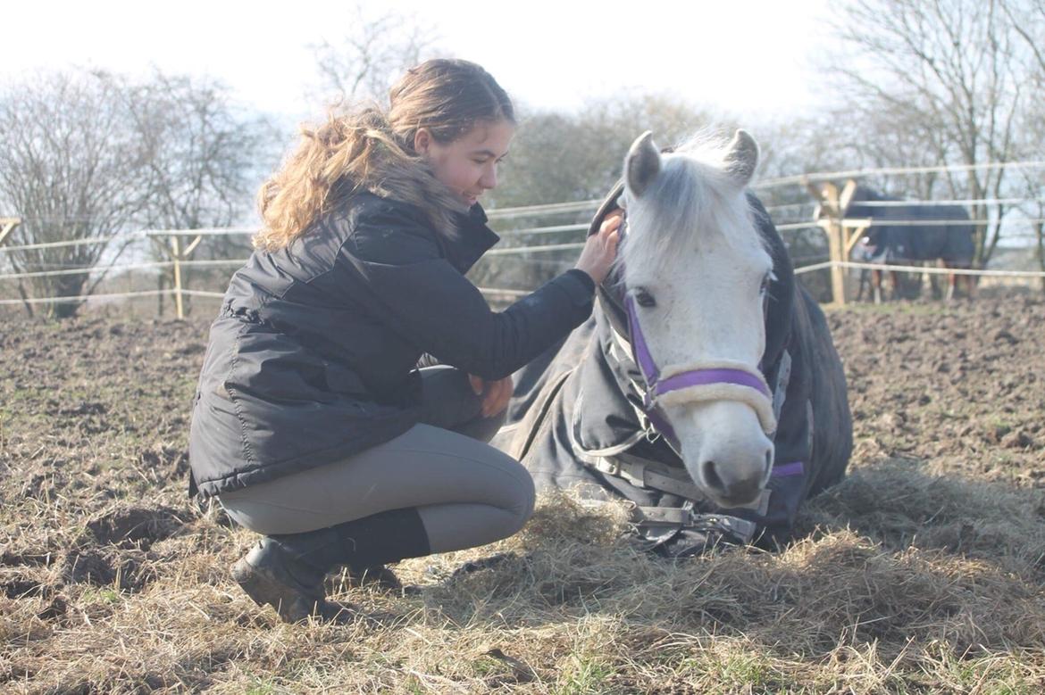 Connemara Asasara Hugin billede 2