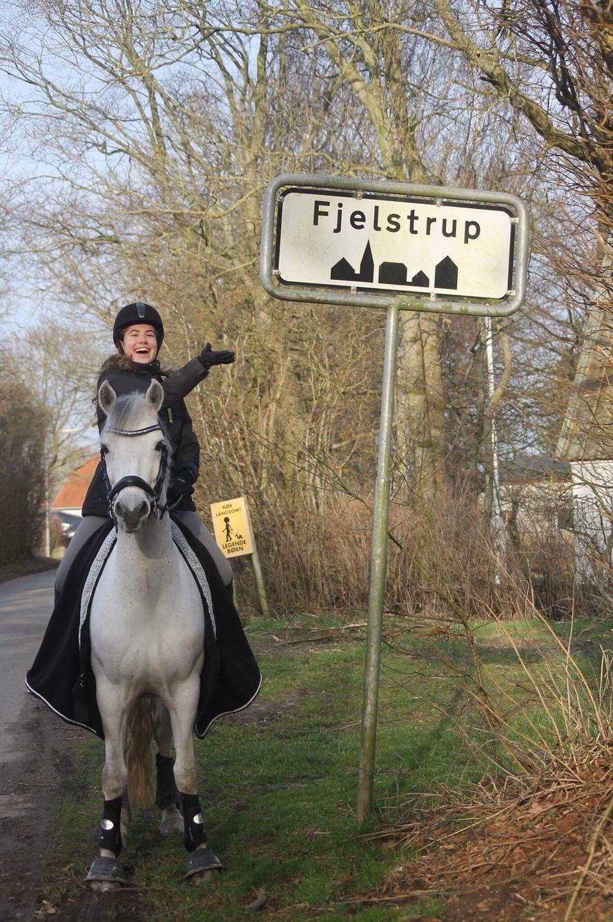 Connemara Asasara Hugin billede 15