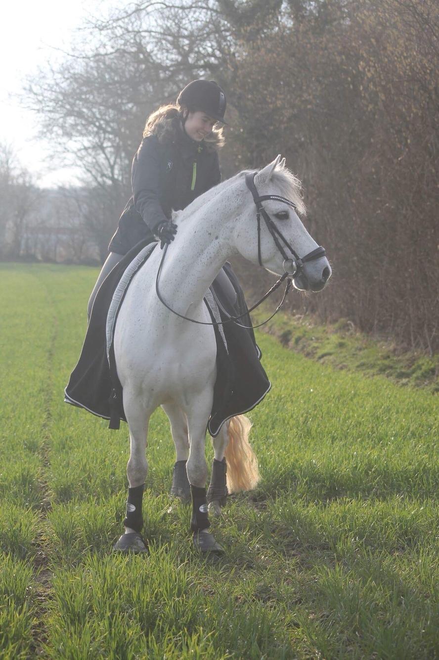 Connemara Asasara Hugin billede 16