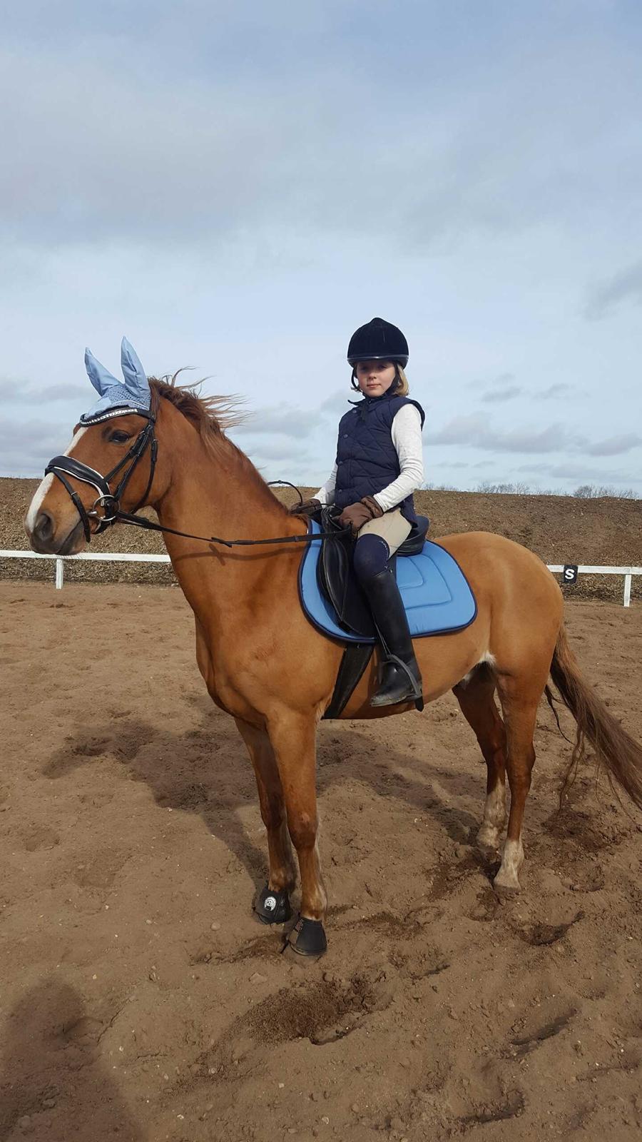 Anden særlig race Bastian (Solgt) - Bastian i sit nye udstyr og Silje med ny ridevest og fine strømper. billede 11