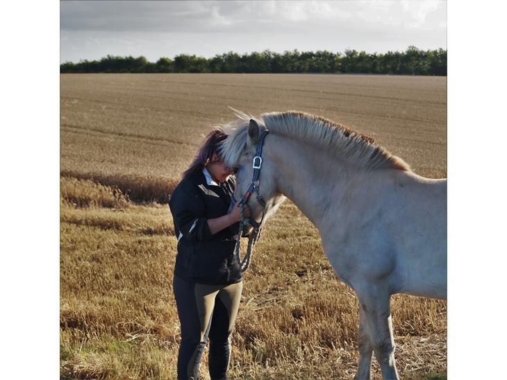 {{currentPhoto.altText}} billede {{currentPhoto.number}}