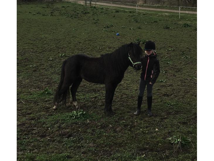 {{currentPhoto.altText}} billede {{currentPhoto.number}}