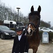 DSP Algecirás Kærlund (Rasmus el. Rasser)