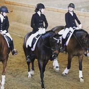 DSP Algecirás Kærlund (Rasmus el. Rasser)