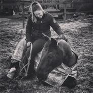 Anden særlig race Strømmens Monét (Bent)