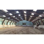 Welsh Cob (sec D) Dorthealyst Heathcliff (Tomba)