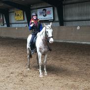 Anden særlig race Bertram