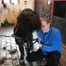 Anden særlig race Glimmer ~ SOLGT