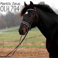 Oldenborg Renti's Zeus