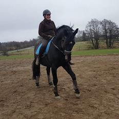 Oldenborg Renti's Zeus