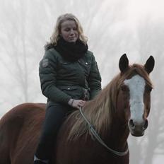 Quarter Cal Bar Catalyst