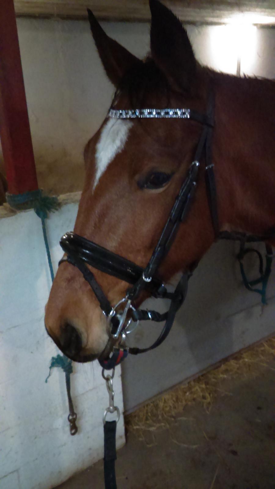 Traver Return Sujaki - Baby billede 9