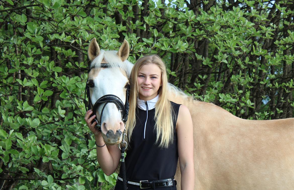 Palomino Butterfly billede 16