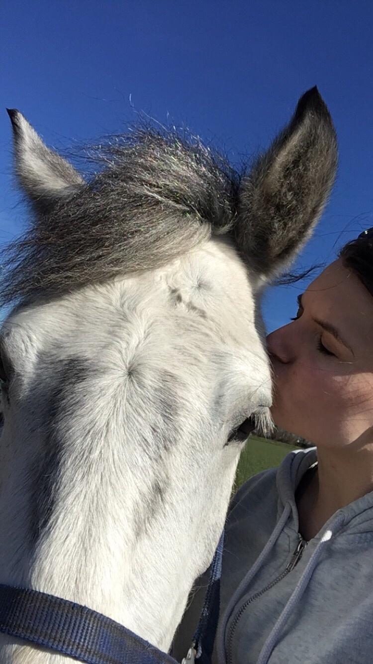 Anden særlig race Spice billede 7