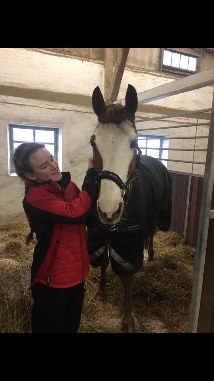 Pinto What A Spot - Så kom han hjem hos mig og endelig min <3 billede 14