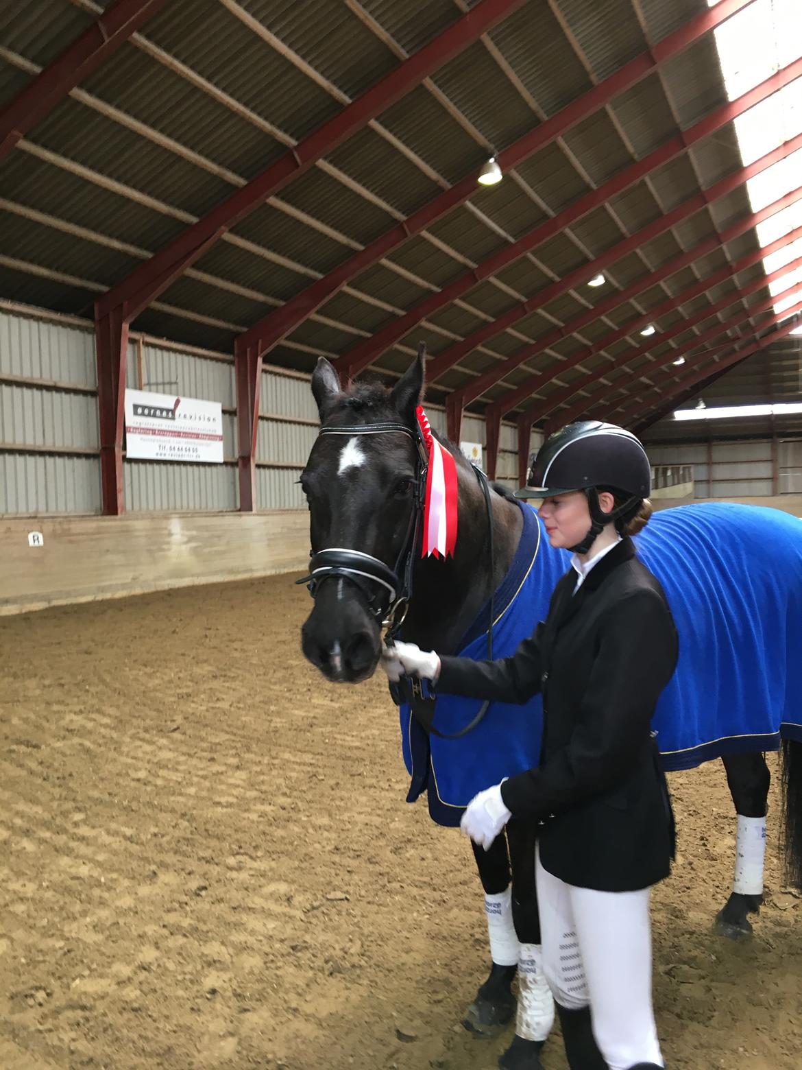 Anden særlig race Soffi billede 8