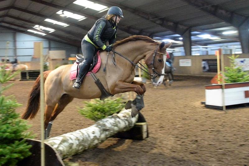 Dansk Varmblod Fine Miss Sunshine billede 14