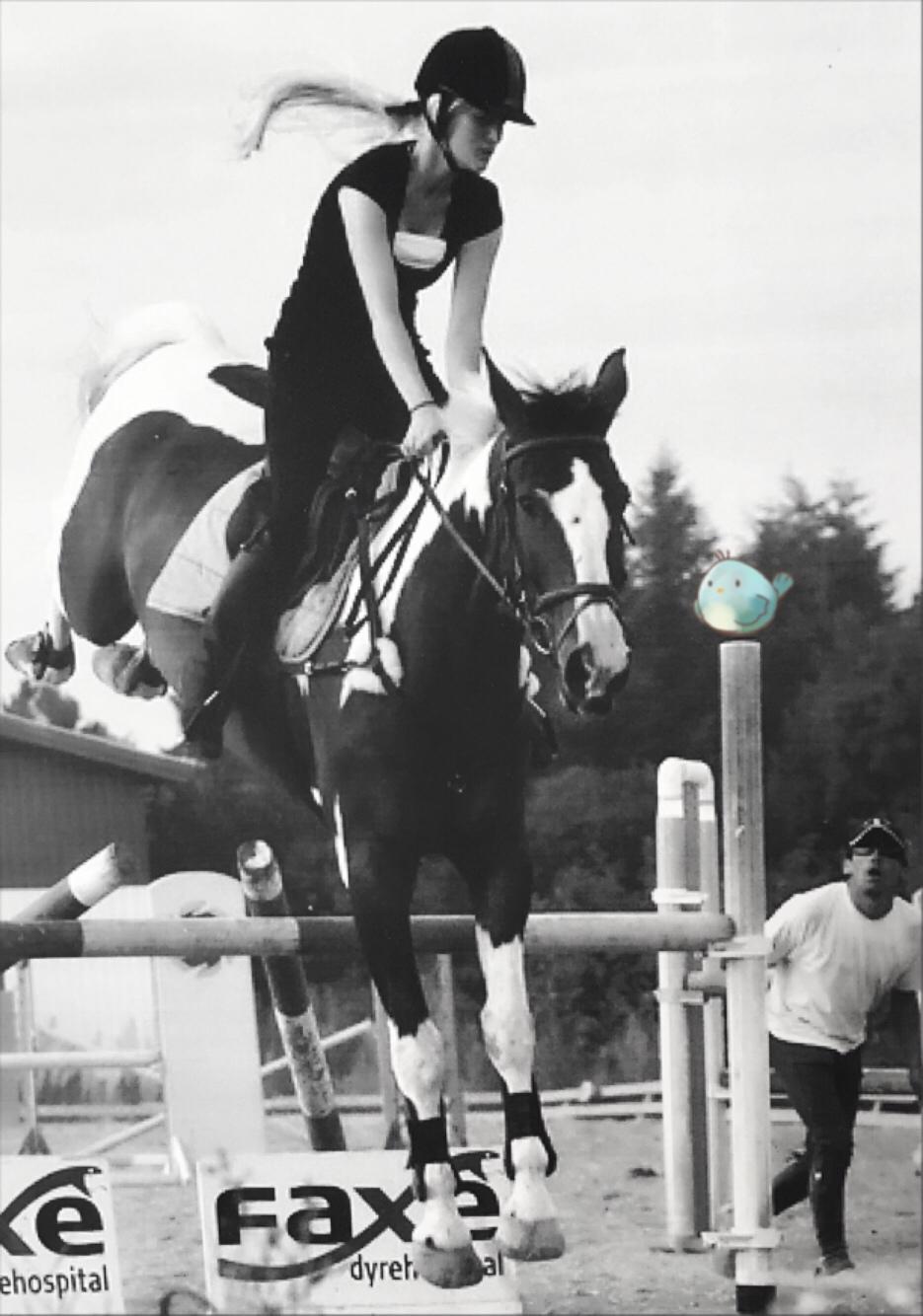 Gelderland Santander billede 16