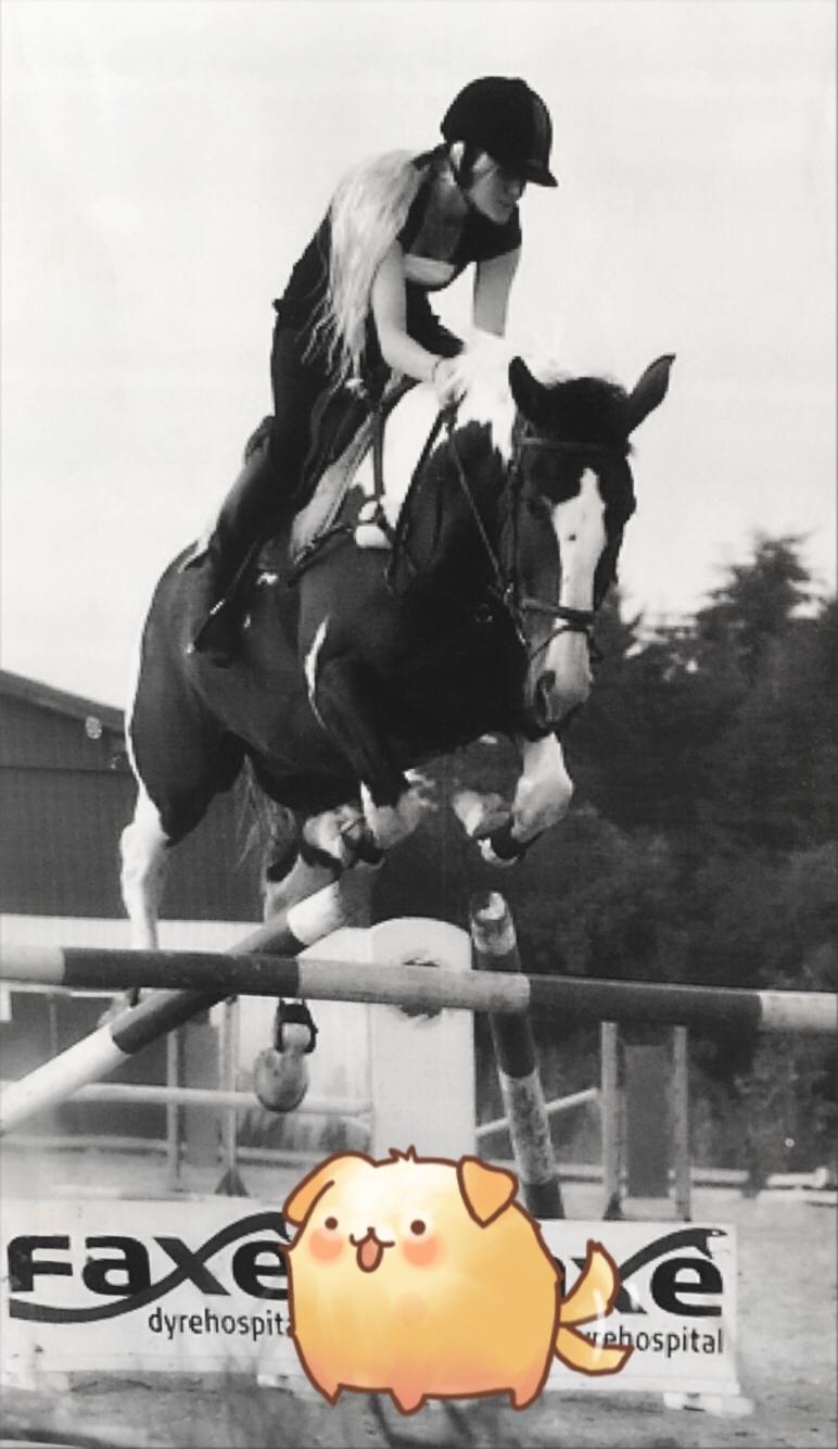 Gelderland Santander billede 18