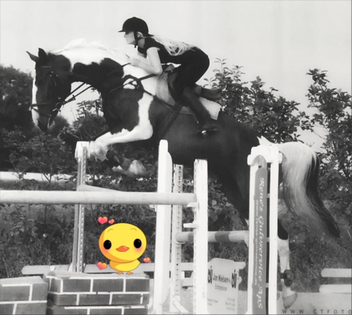 Gelderland Santander billede 19