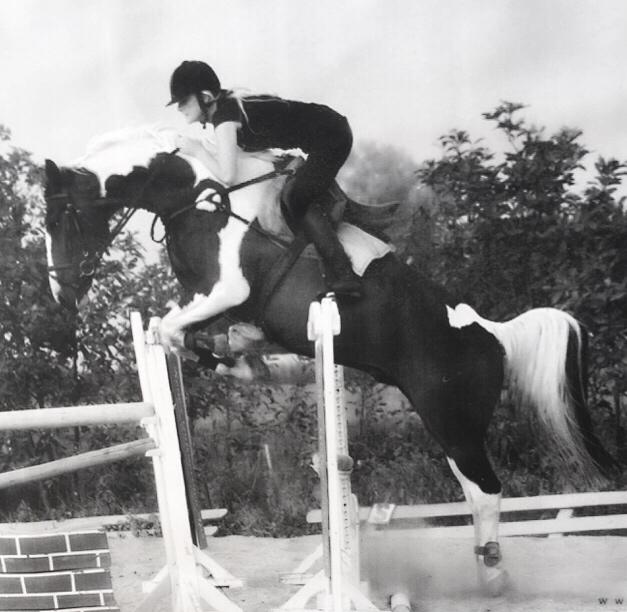 Gelderland Santander billede 20