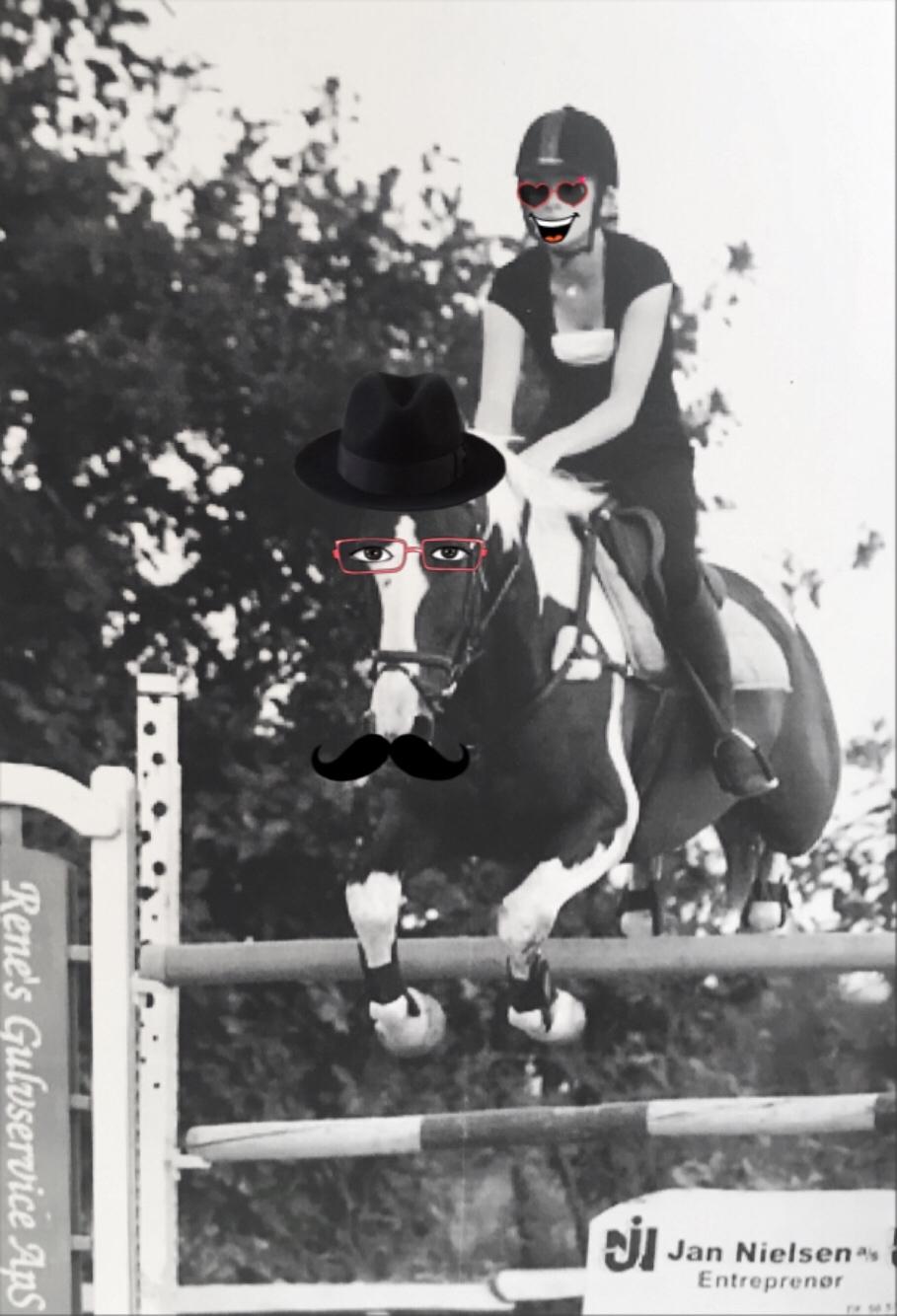 Gelderland Santander billede 21