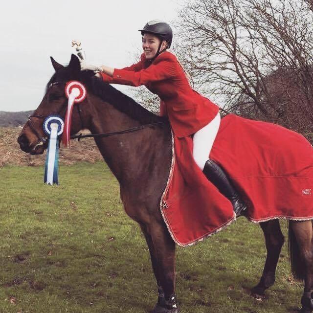 Hollandsk Varmblod W. catsburg billede 3