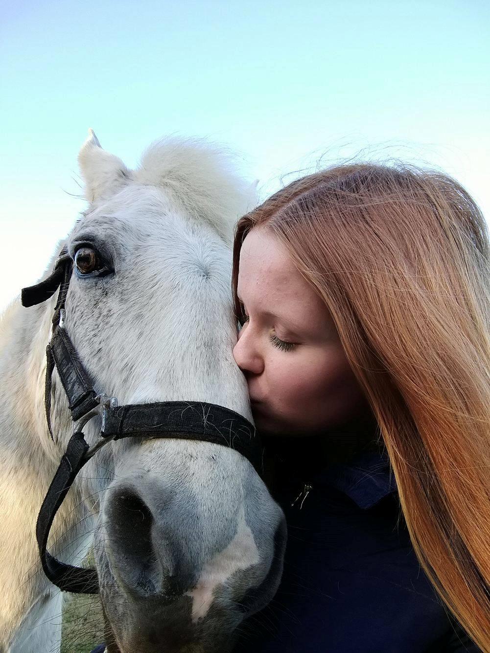 Connemara Maskenkol´s Calimero billede 1