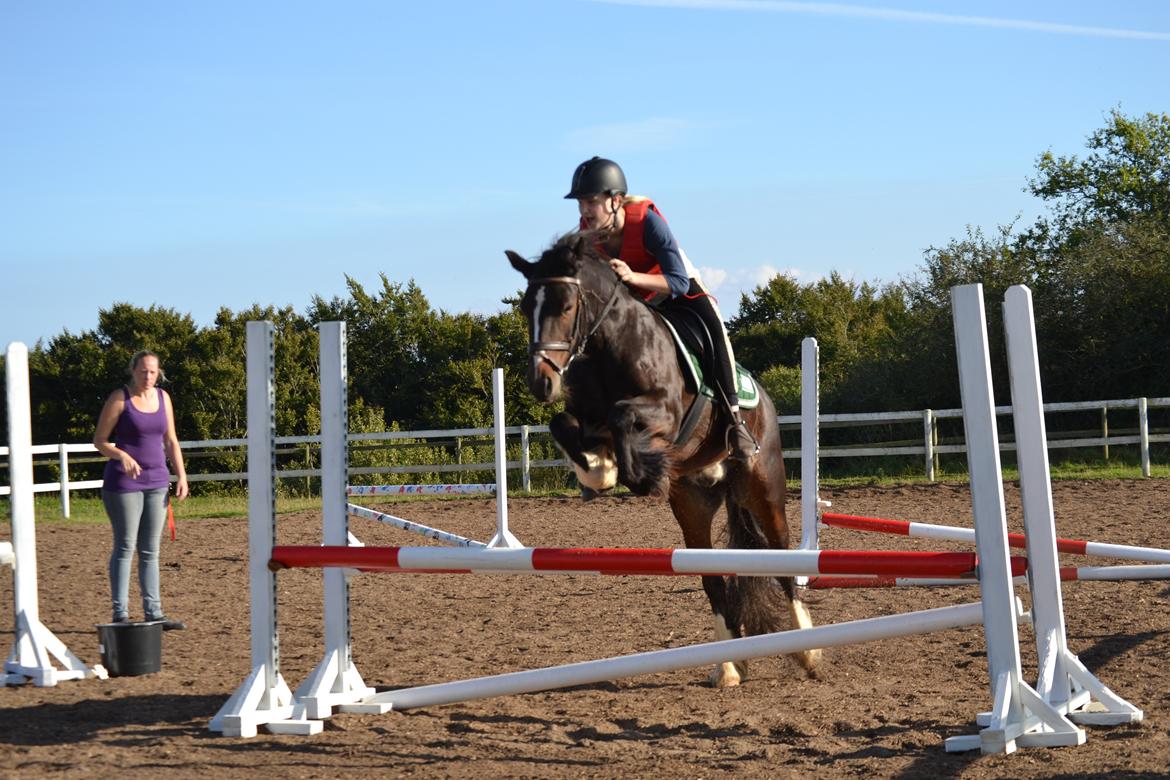 Anden særlig race Anton Berg billede 17