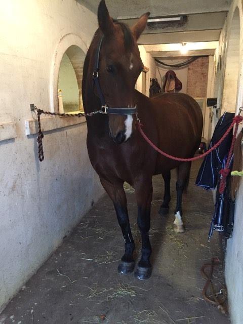 Oldenborg DuFaux billede 2