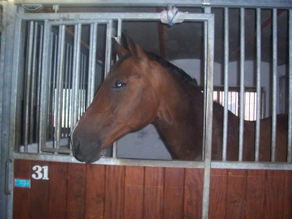 Oldenborg DuFaux billede 4