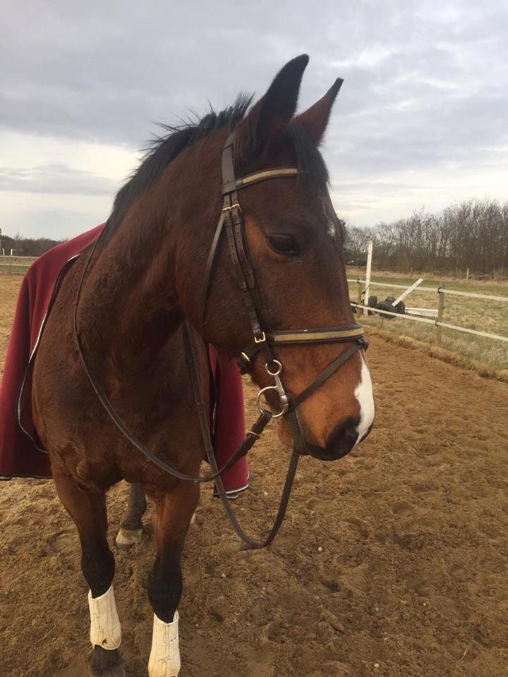 Oldenborg DuFaux billede 1