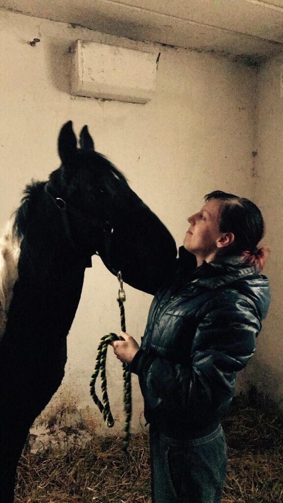 Barockpinto New Star  - Taget 31/3 -17 baby er ved at udforske hvad jeg er for en :D billede 4